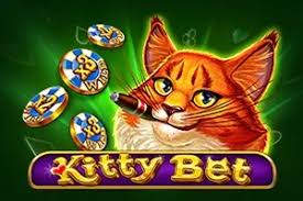 Kitty Bet Kitty Bet